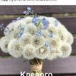 Колесник Светлана