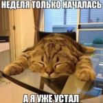 42 или 52 ?