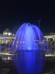 Фотография Альбатрос 4